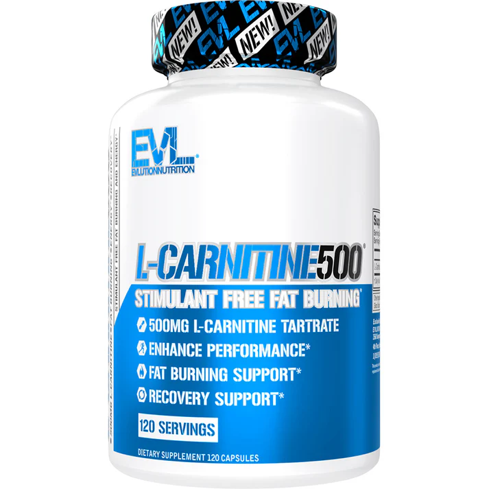 L-CARNINITINE500